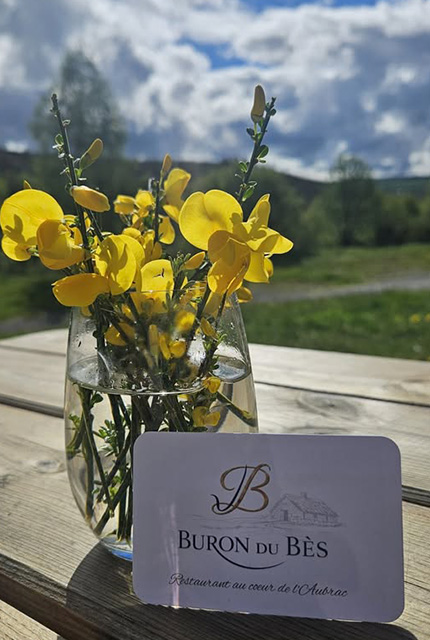 buron de bes jonquilles